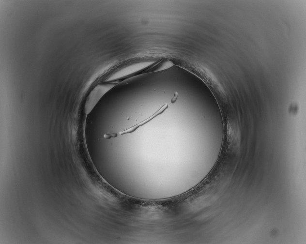 X0000101170396200807111057