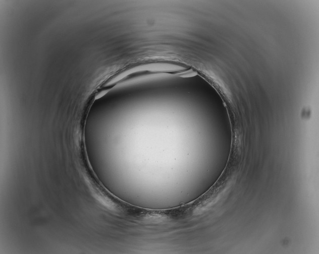 X0000101170397200807111057