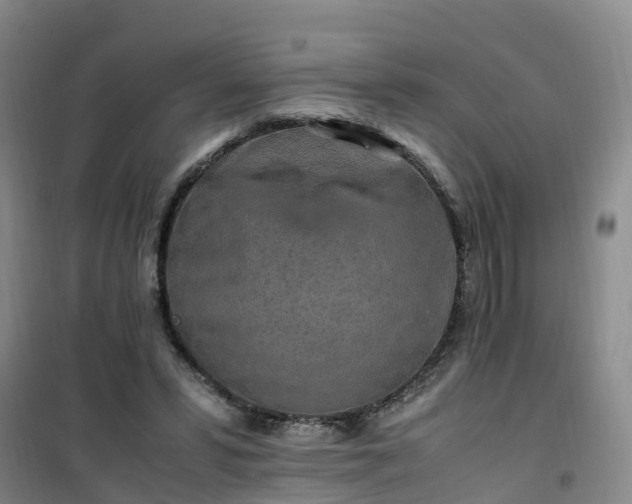 X0000101170399200807111056