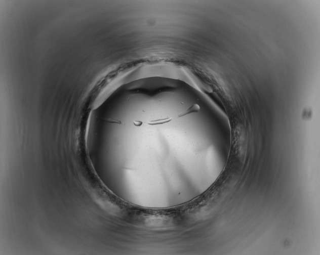 X0000101170400200807111056