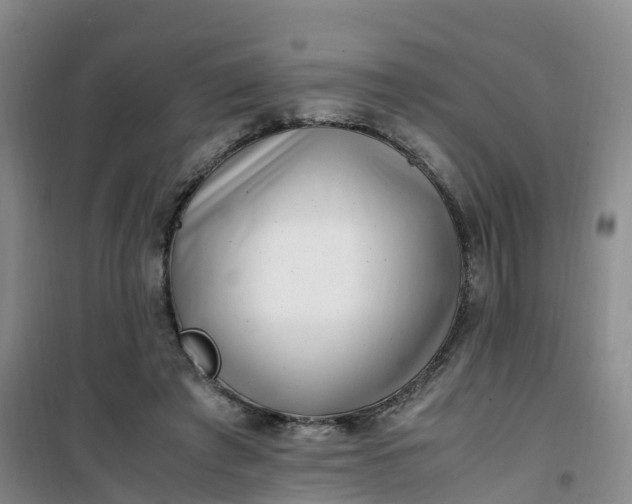 X0000101170401200807111056