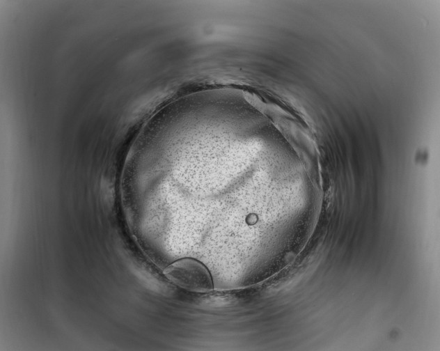 X0000101170402200807111056