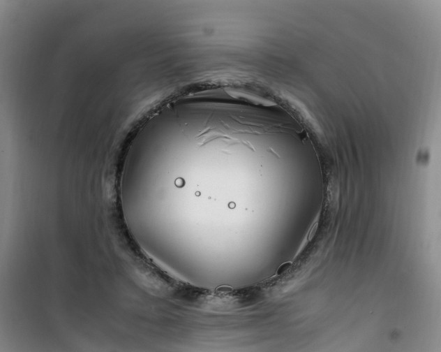 X0000101170403200807111056