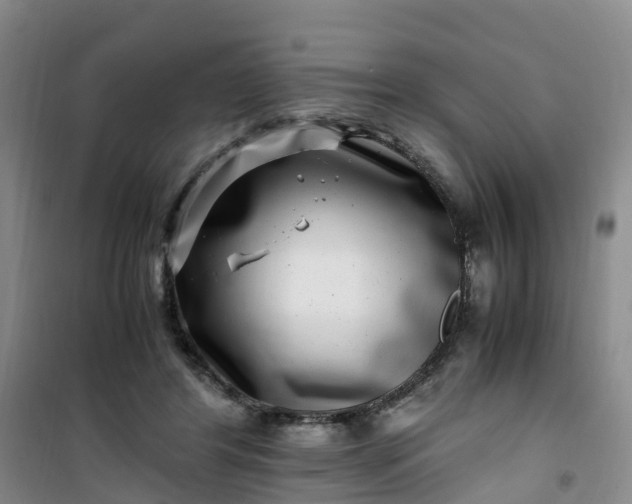 X0000101170404200807111056