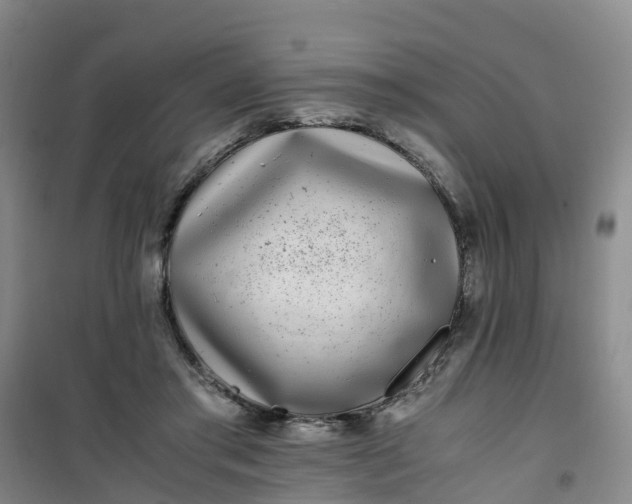X0000101170405200807111056