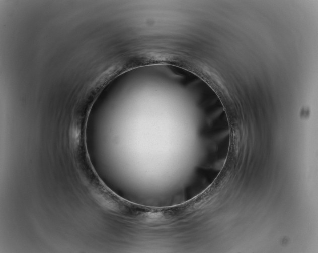X0000101170406200807111056