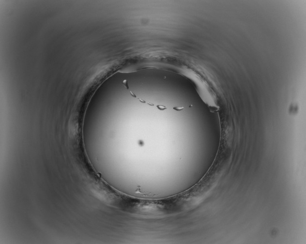 X0000101170407200807111056
