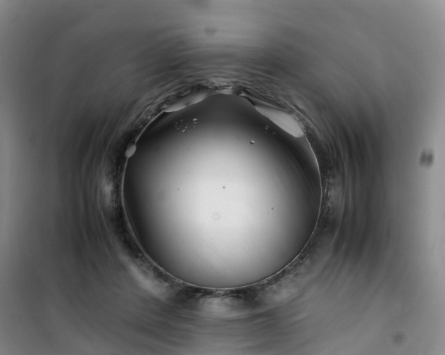 X0000101170408200807111056