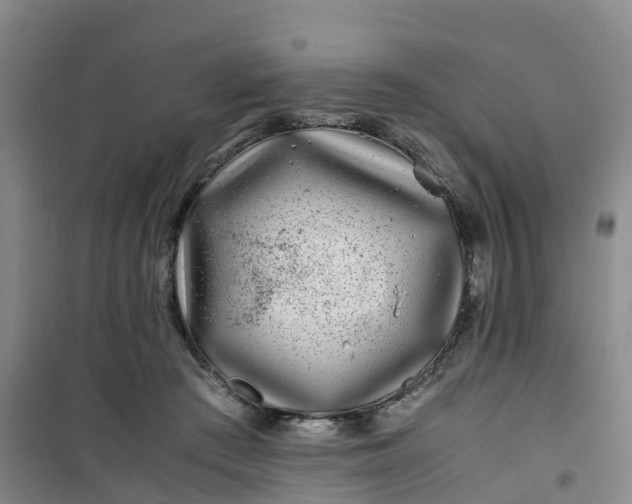 X0000101170409200807111056