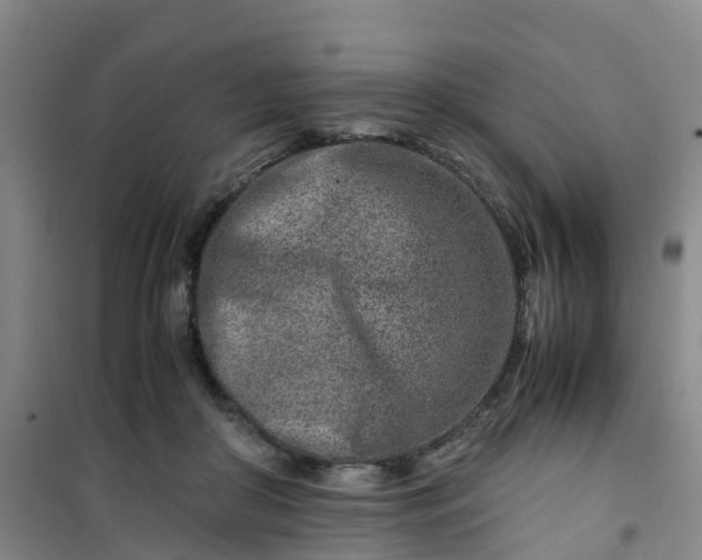X0000101170410200807111056