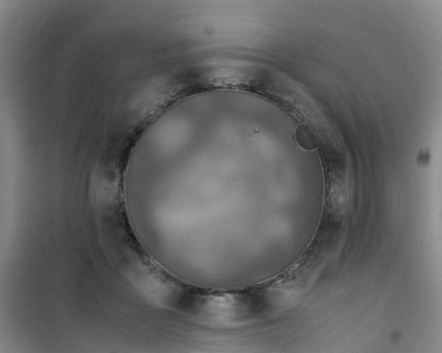 X0000101170411200807111056