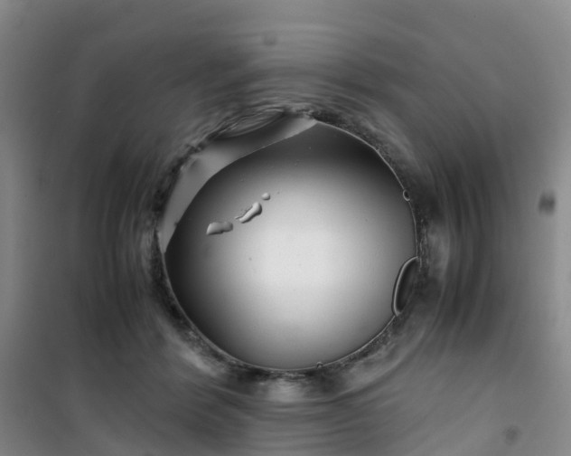 X0000101170412200807111056