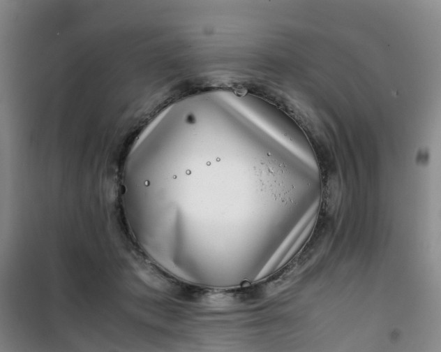X0000101170413200807111056