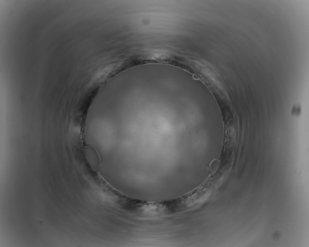X0000101170415200807111056