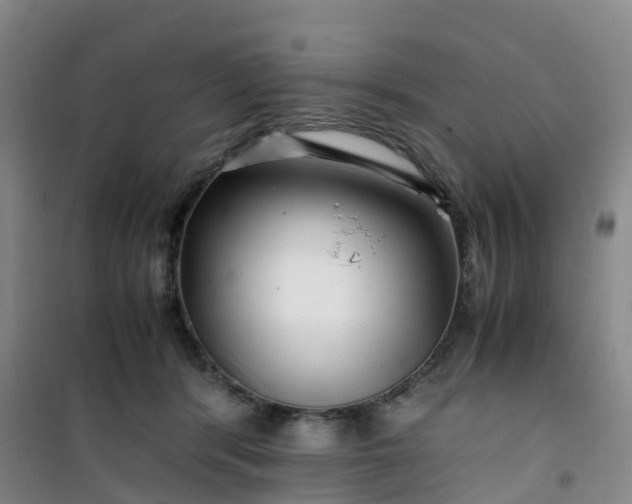 X0000101170416200807111056