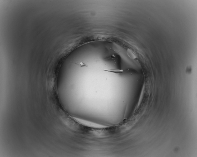 X0000101170417200807111056