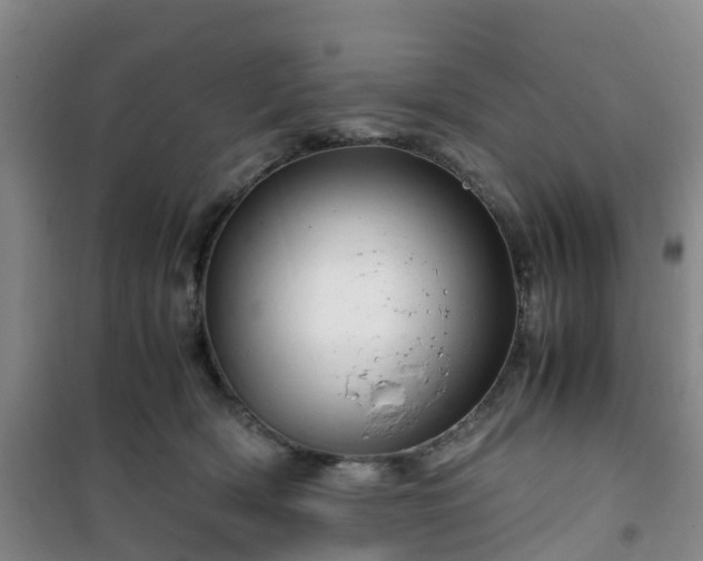 X0000101170418200807111056