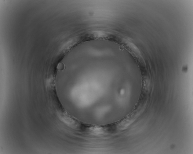 X0000101170419200807111056