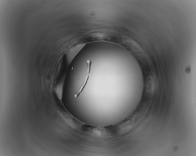 X0000101170420200807111056