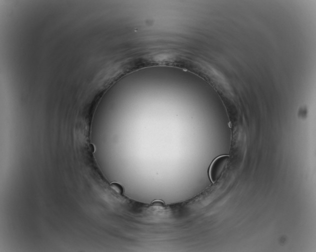 X0000101170421200807111056