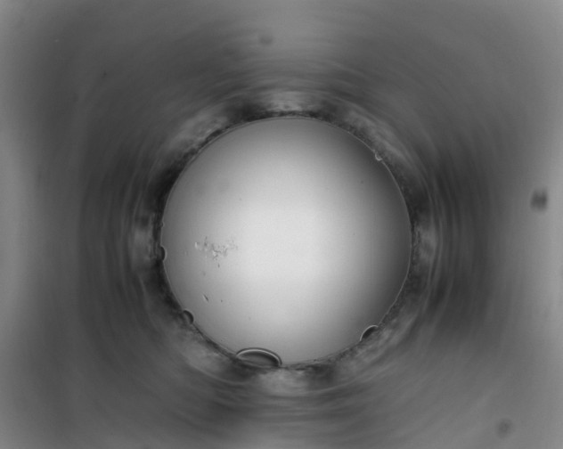 X0000101170422200807111056