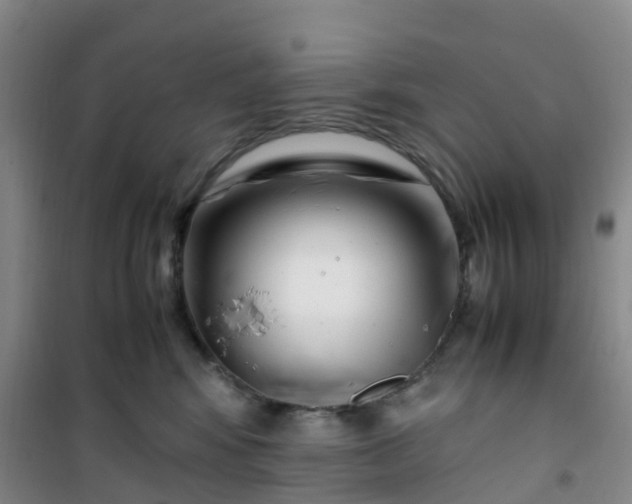 X0000101170424200807111056
