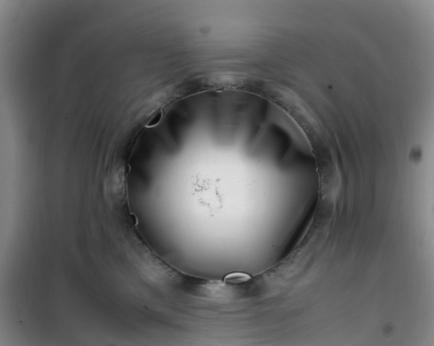 X0000101170425200807111056