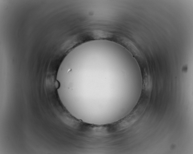 X0000101170426200807111056