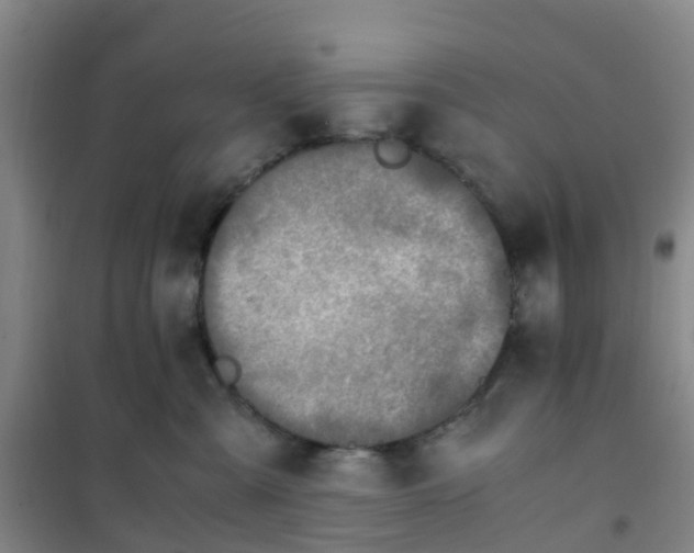 X0000101170427200807111056