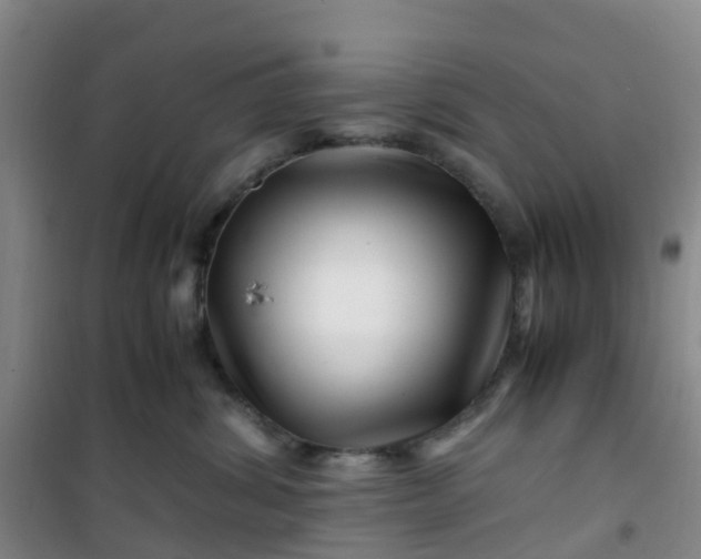 X0000101170428200807111056