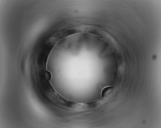X0000101170429200807111056
