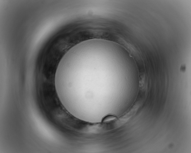 X0000101170430200807111056