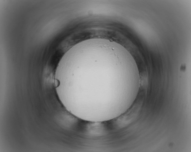 X0000101170431200807111056