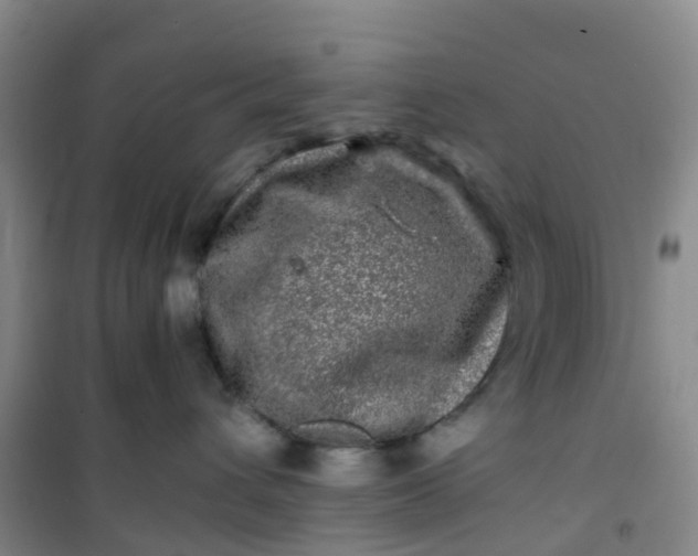 X0000101170432200807111056