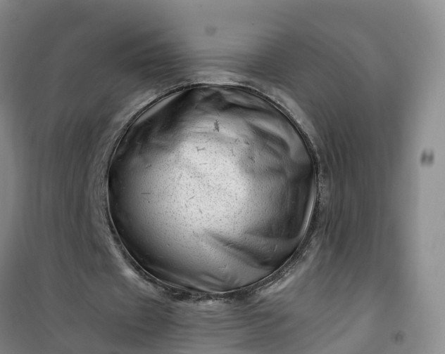 X0000101170433200807111055