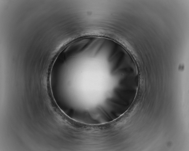 X0000101170434200807111055