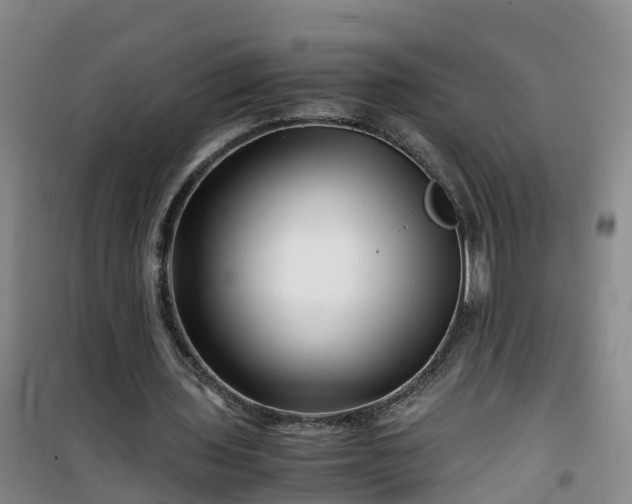 X0000101170435200807111055