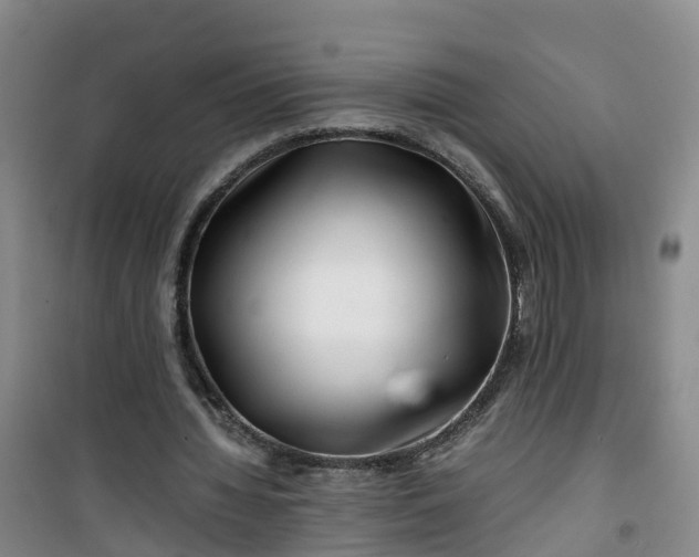X0000101170436200807111055