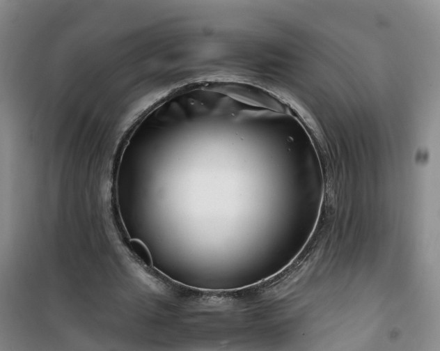 X0000101170437200807111055