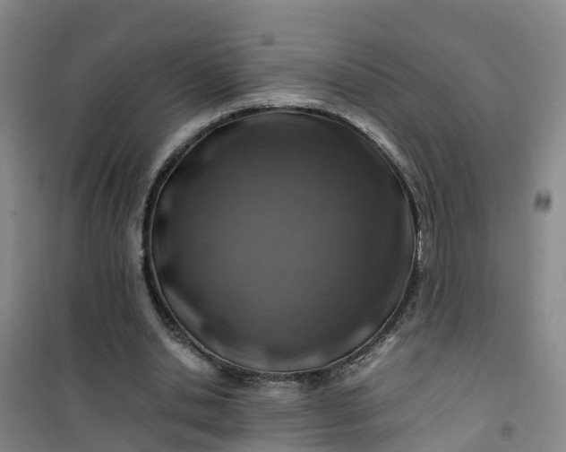 X0000101170438200807111055