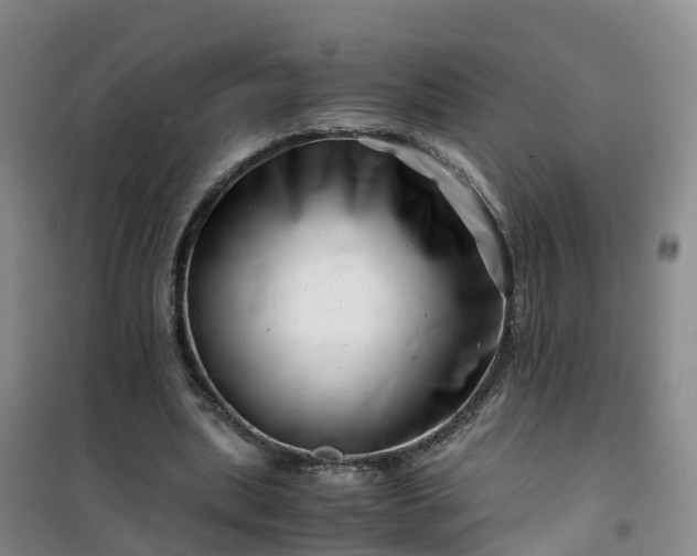 X0000101170439200807111055