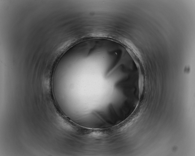 X0000101170441200807111055
