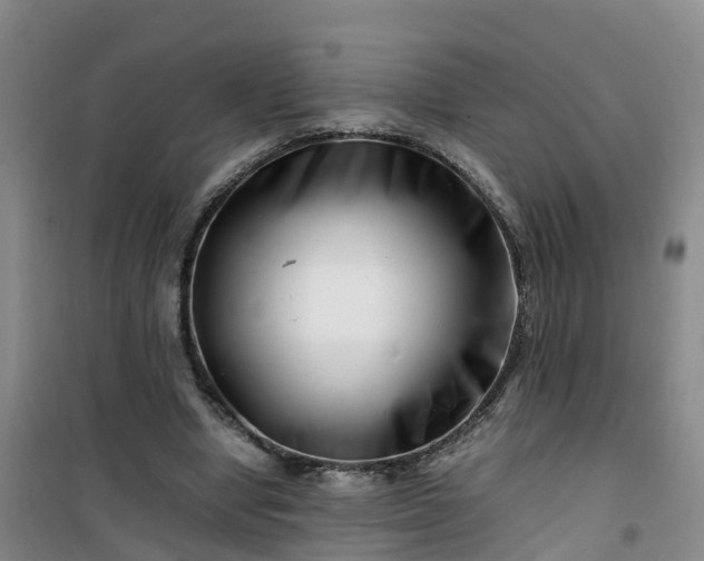 X0000101170442200807111055