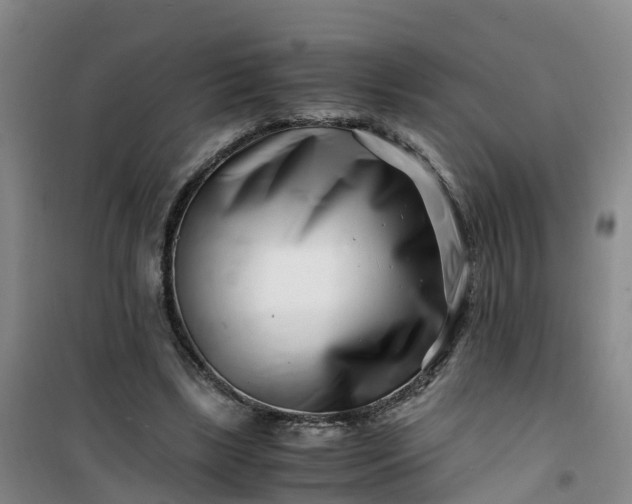 X0000101170443200807111056