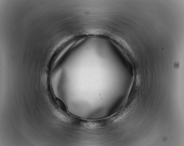 X0000101170444200807111056