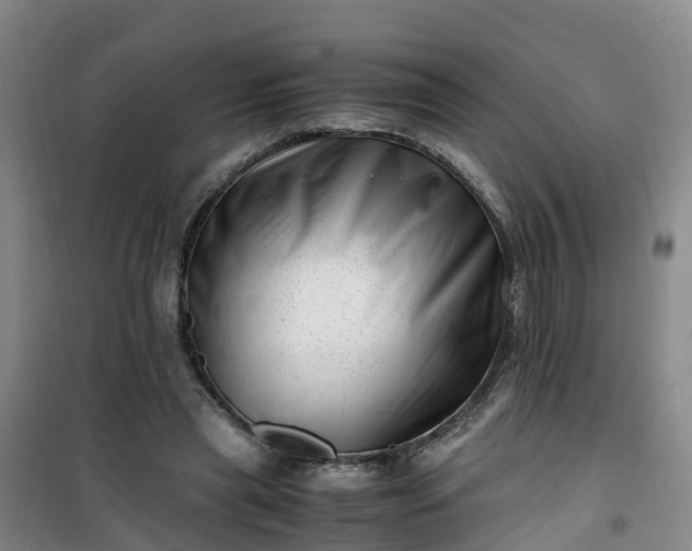 X0000101170445200807111056