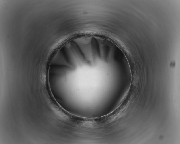 X0000101170446200807111056