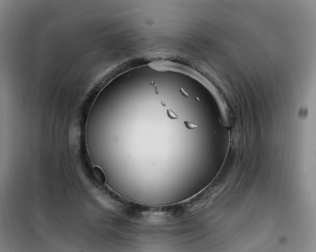 X0000101170448200807111056
