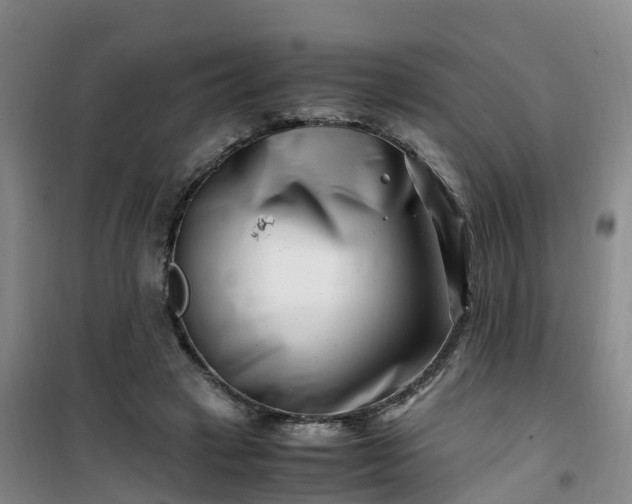 X0000101170449200807111056