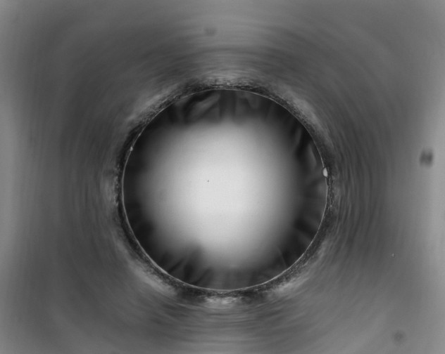 X0000101170450200807111056